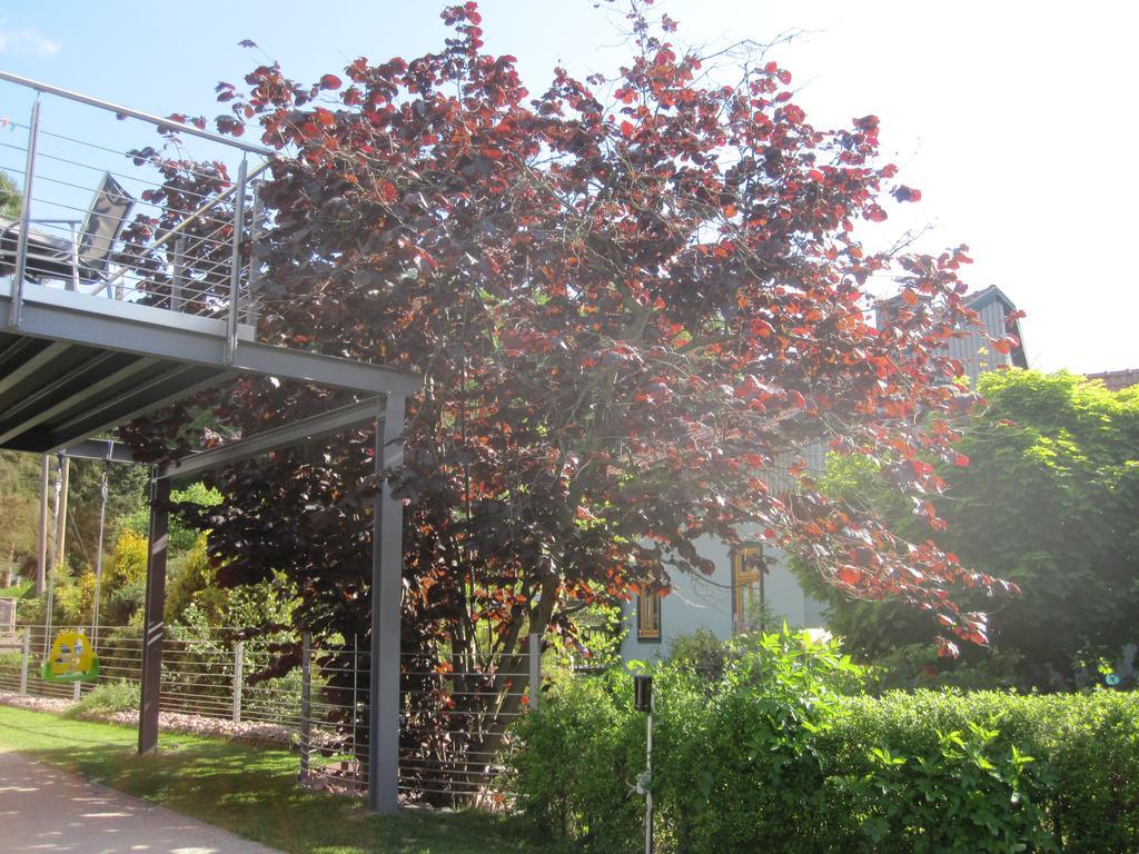 Apartment Haus Sembachtal Winterstein Exterior foto
